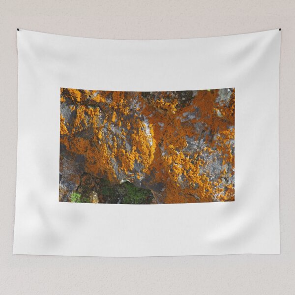 Item preview, Bright Lichen designed and sold by lezvee.