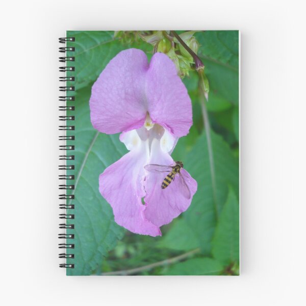 Item preview, Hoverfly on a flower designed and sold by Jodie  Davison.
