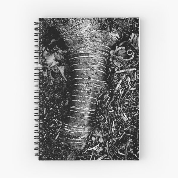 Item preview, Aspen root designed and sold by Jeffrey  Sinnock.