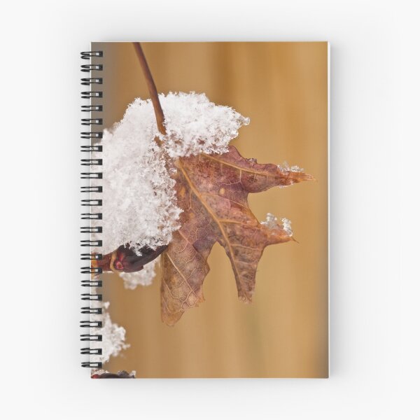 Item preview, Winters first snow designed and sold by Jeffrey  Sinnock.