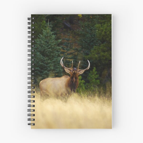 Item preview, Wild Eyed and Crazy designed and sold by John  De Bord Photography.