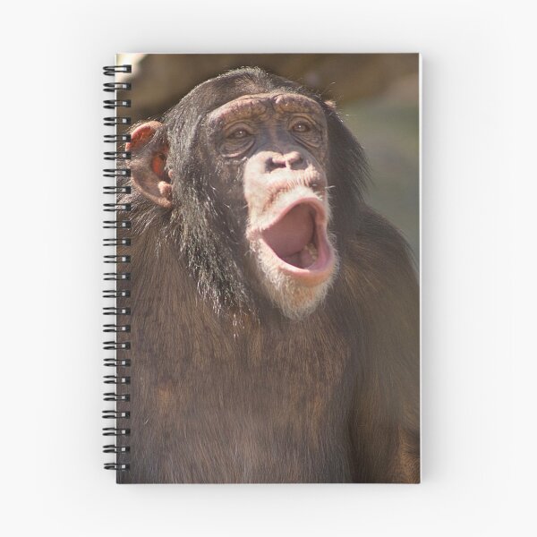 Item preview, "Chimp Chant" - chimpanzee getting vocal designed and sold by ArtThatSmiles.
