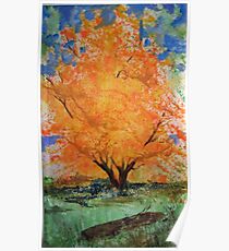 Sugar Maple Poster