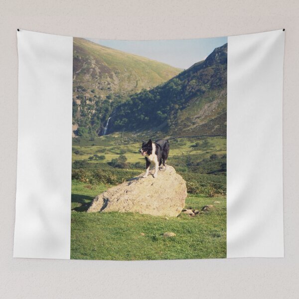 Item preview, Young Indy at Aber Falls designed and sold by Michael Haslam.