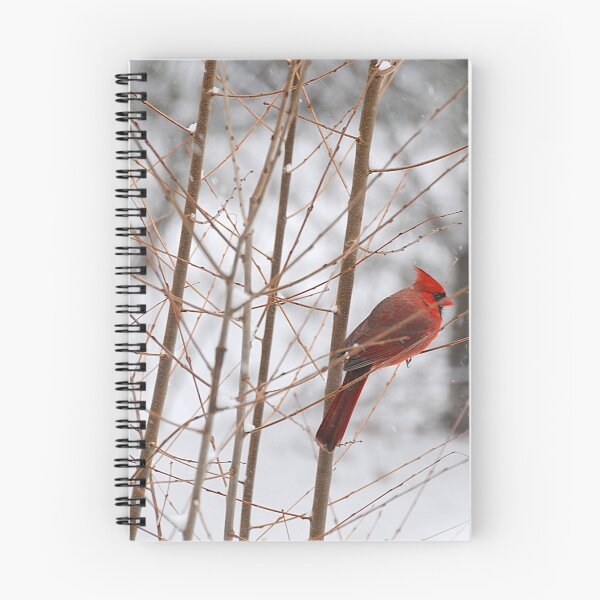 Item preview, Cardinal designed and sold by Anne Smyth.