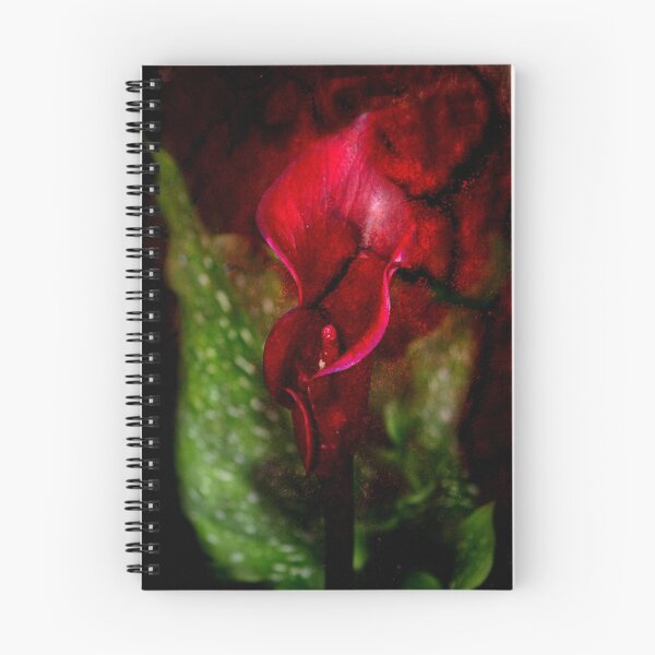 Item preview, "Hot Chocolate ..." designed and sold by Rosehaven.