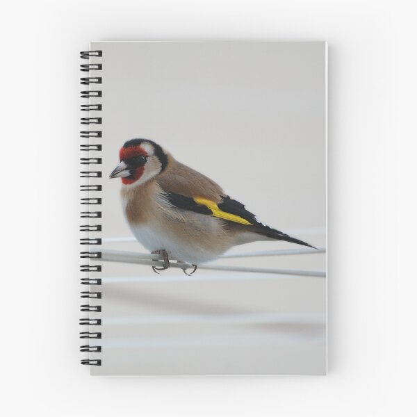 Item preview, Goldfinch  designed and sold by Declan Carr.