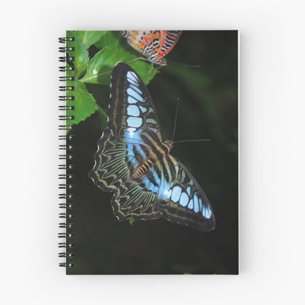 Item preview, Butterfly's designed and sold by Lynn Hughes.