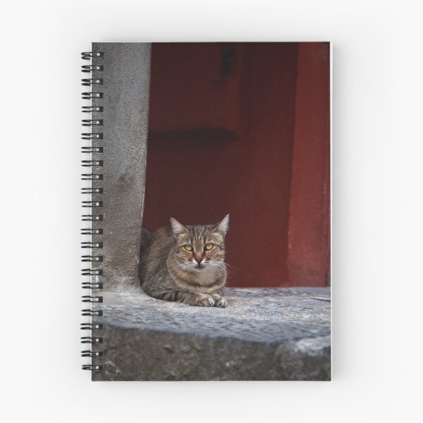 Item preview, Alley Cat designed and sold by Phill Danze.