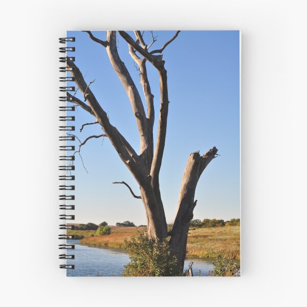 Item preview, Tree at Walnut Creek designed and sold by MaryLynn.