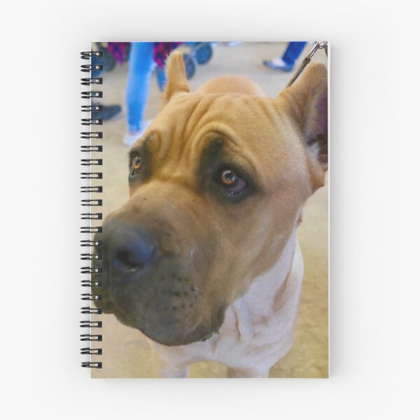Item preview, Cane Corso designed and sold by laurafay.