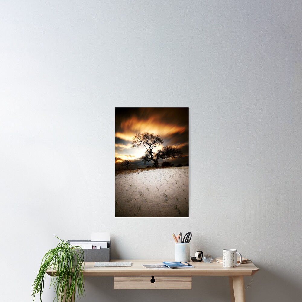 Magical tree Poster