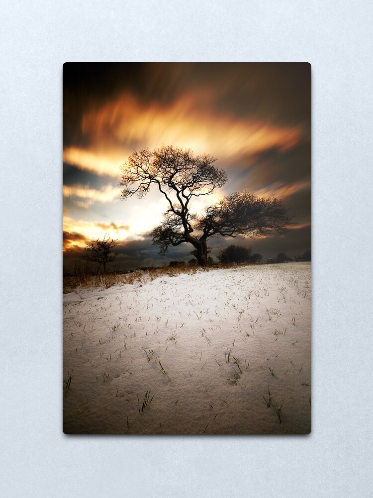 Alternate view of Magical tree Metal Print