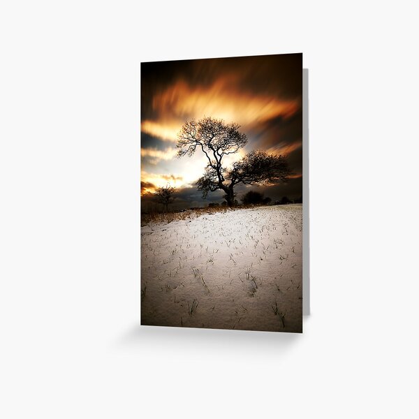 Magical tree Greeting Card