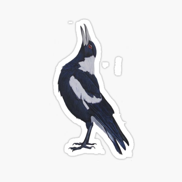 Item preview, Voted number 1 - Magpie! designed and sold by tavartist.