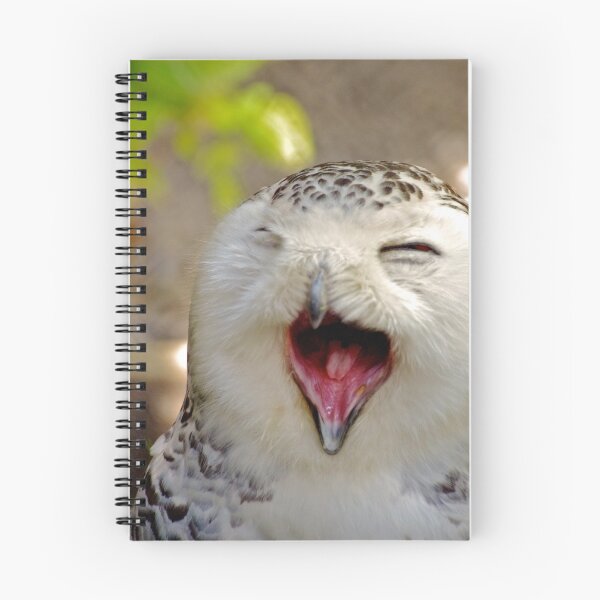 Item preview, Yawning Snowy Owl designed and sold by Jessica Dzupina.