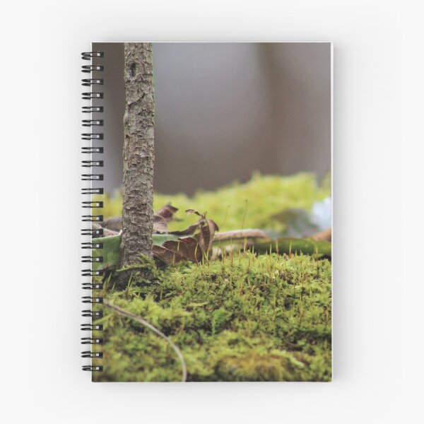 Item preview, Winter greenery designed and sold by RYBHOWE.