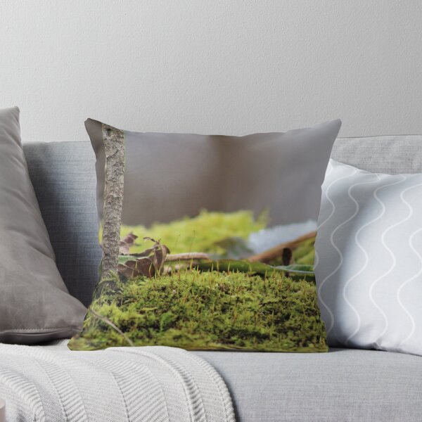 Item preview, Winter greenery designed and sold by RYBHOWE.