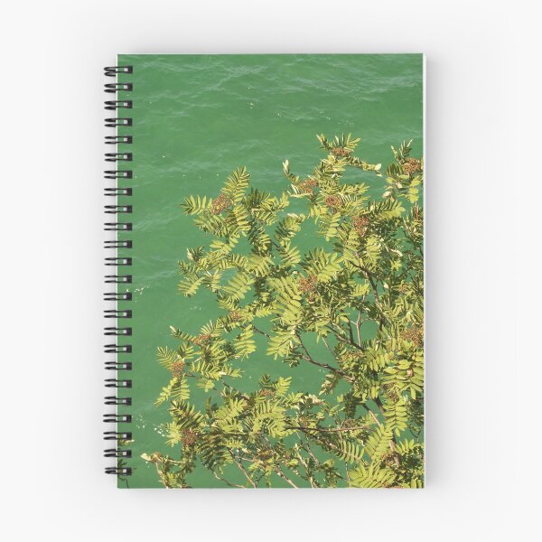 Item preview, Superior Surface designed and sold by Bob Hardy.