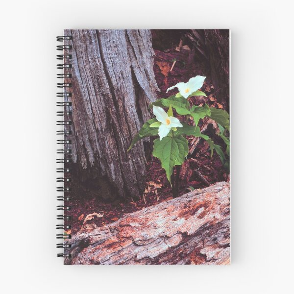Item preview, TRILLIUM designed and sold by Chuck Wickham.