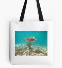 Green Sea Turtle Tote Bag