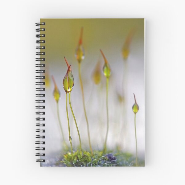 Item preview, Magical world designed and sold by Maria Ismanah Schulze-Vorberg.