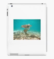 Green Sea Turtle iPad Case/Skin