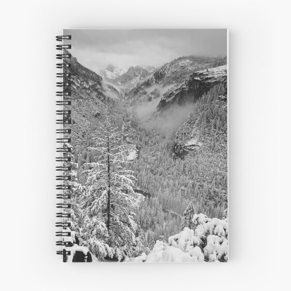 Item preview, Winter White designed and sold by Leasha Hooker.