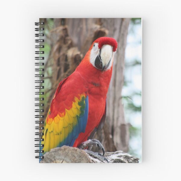 Item preview, Red Macaw designed and sold by grayjenny.
