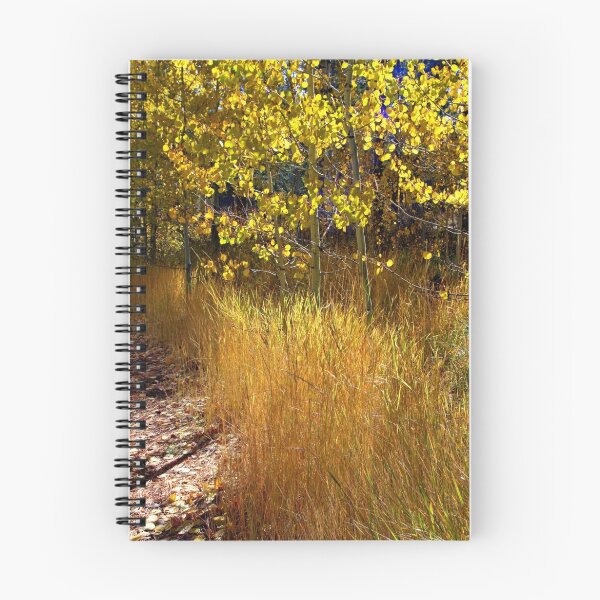 Artikelvorschau, "Autumn Hues" entworfen und verkauft von Lynn Bawden.