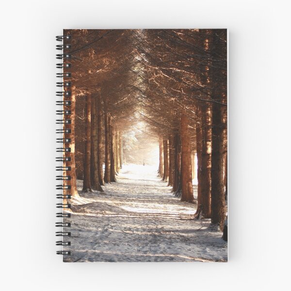 Item preview, If you go down to the woods today 2 designed and sold by Ian Coyle.