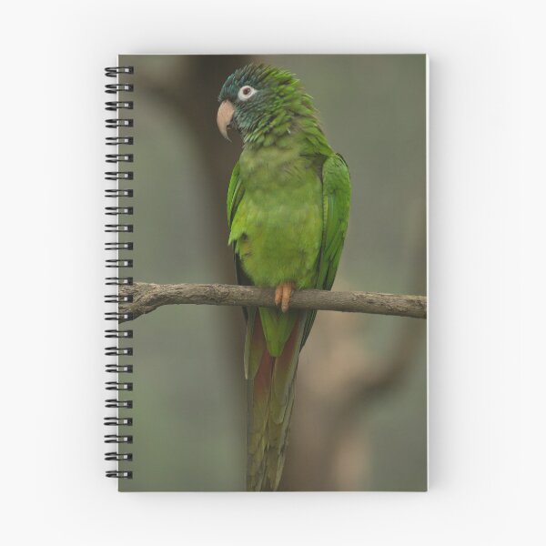 Item preview, 112418 Green Parrot designed and sold by pcfyi.