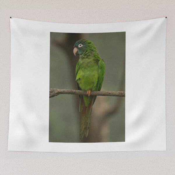 Item preview, 112418 Green Parrot designed and sold by pcfyi.
