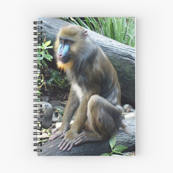Item preview, Mandrill designed and sold by Clive.