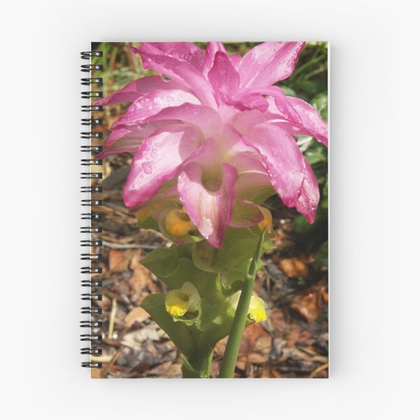 Item preview, Flowering Curcuma designed and sold by Bob Hardy.