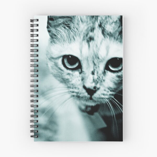 Item preview, Meow....where are you mommy? : On Featured Work designed and sold by Kornrawiee.