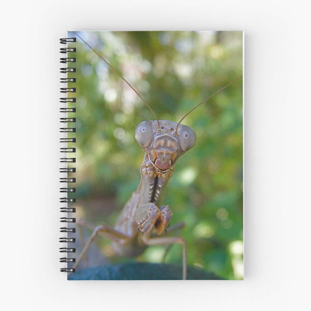 Item preview, Spiral Notebook designed and sold by gabriellehope.