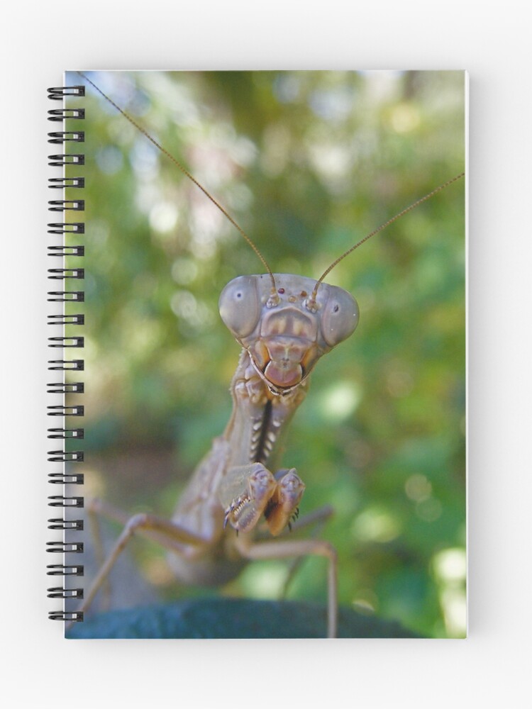 Thumbnail 1 of 3, Journal, "Two Faced" designed and sold by gabriellehope.