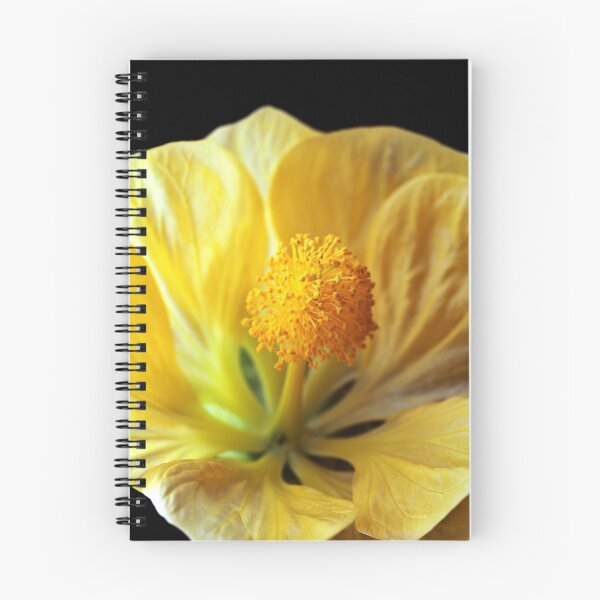 Item preview, "Yellow Lantern" designed and sold by Huskyyy Designs.