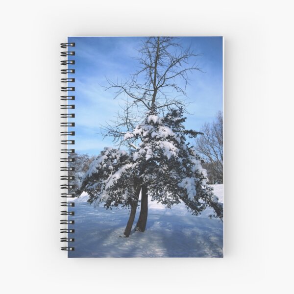 Icy blue Spiral Notebook