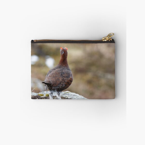 Item preview, lagopus lagopu  red grouse designed and sold by chanonry.