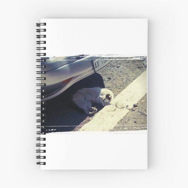 Item preview, Gatos Italianos (Roma) designed and sold by milodesign.