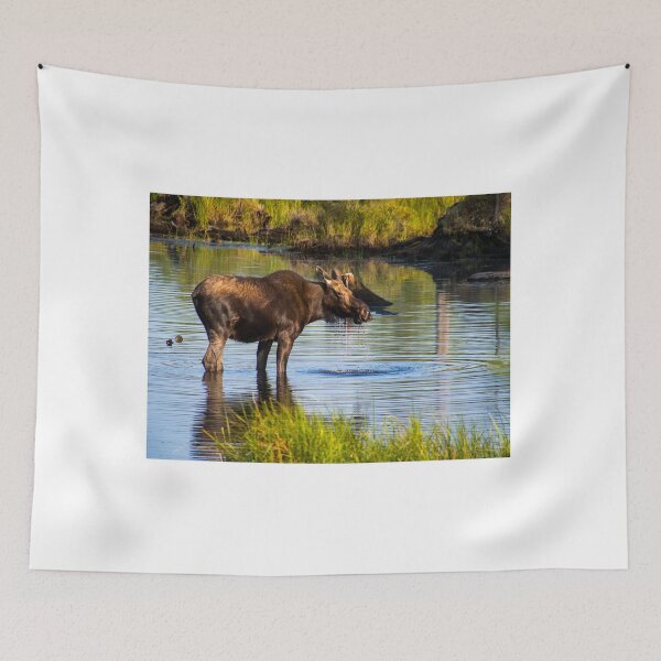 Item preview, Moose Sighting Greenville, Maine. designed and sold by TKPhotos.