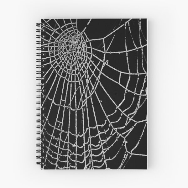 Item preview, spider web designed and sold by Evan Sharboneau.