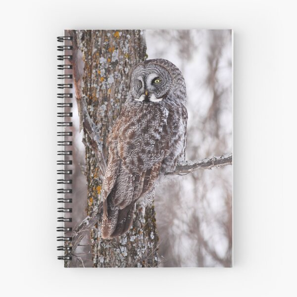 Item preview, Blending In / Great Grey Owl designed and sold by Gary Fairhead.