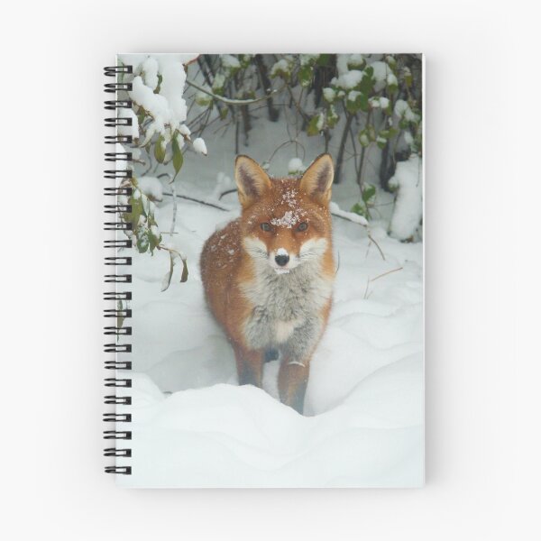 Item preview, The Bushy Fox designed and sold by James Howell.