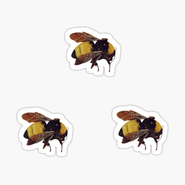 Tyler Bee Stickers for Sale