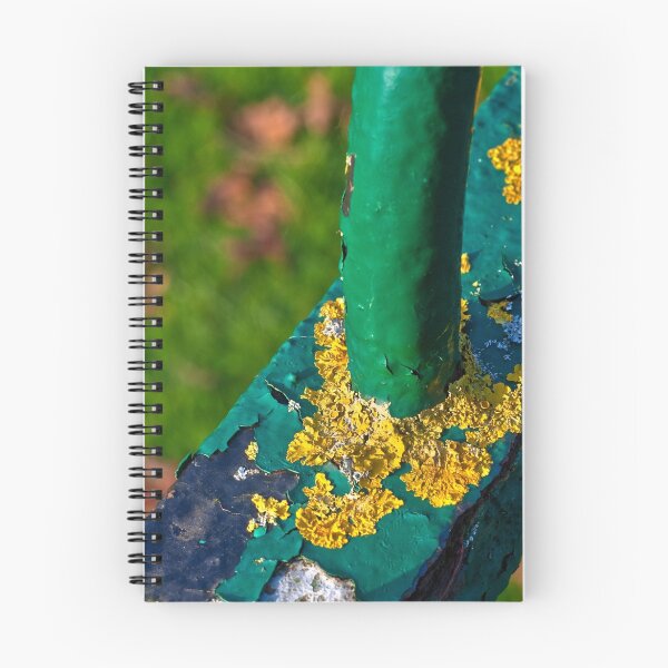 Item preview, Lichen on Painted Steel designed and sold by Mike Freedman.