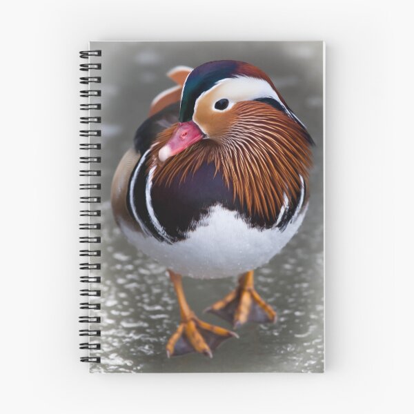 Item preview, Natural Beauty designed and sold by geoff curtis.