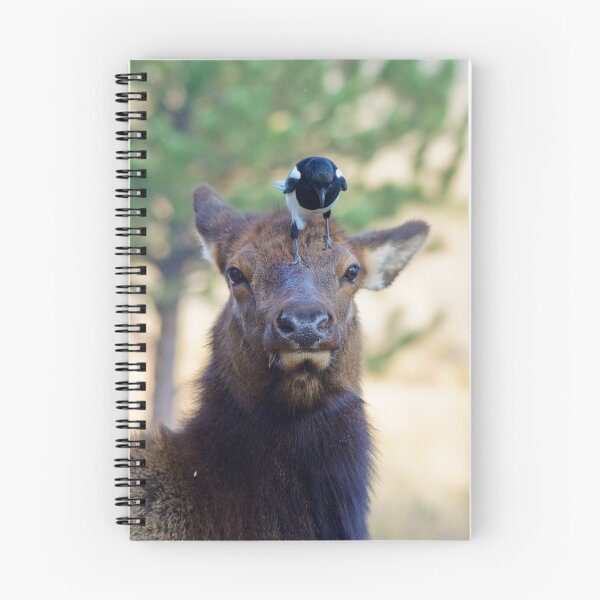 Item preview, He Better Not Poop On My Head designed and sold by John  De Bord Photography.
